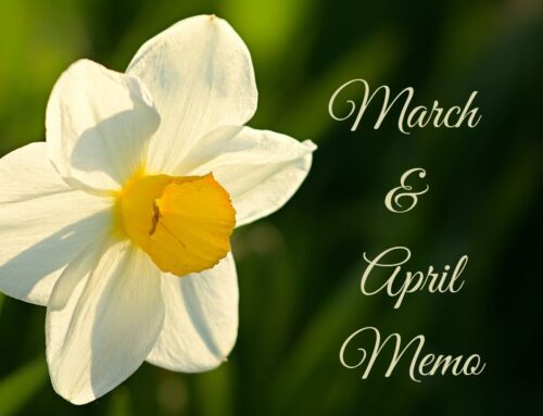 District Memo – March/April 2026